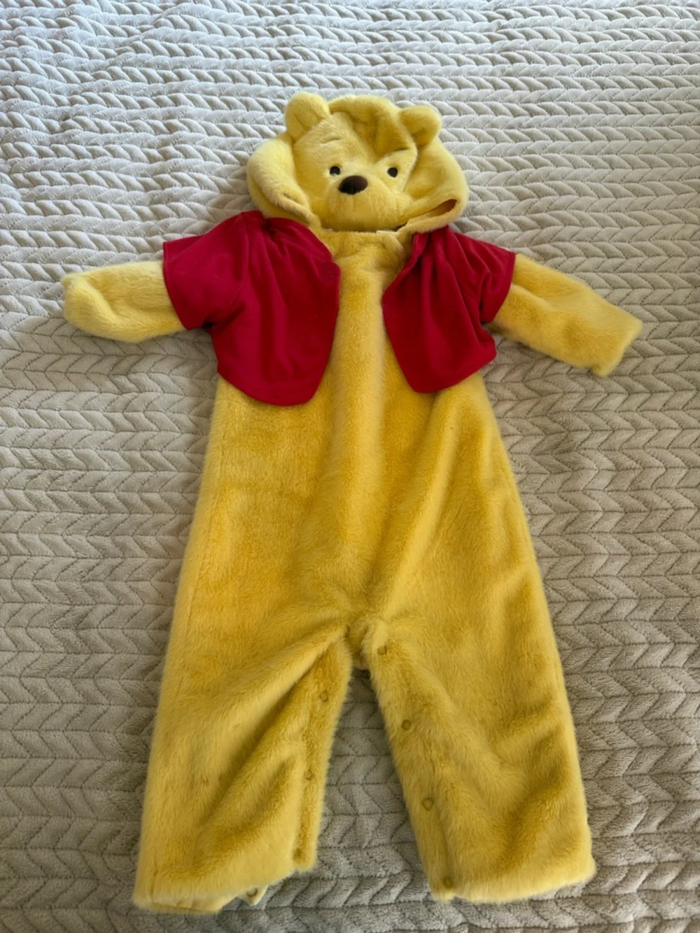 Pottery Barn Disney Classic Pooh Hooded Plush costume 12-24 months like new